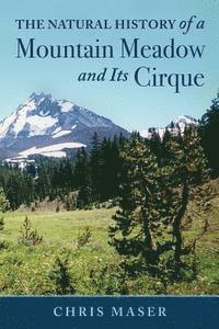 bokomslag The Natural History of A Mountain Meadow and Its Cirque