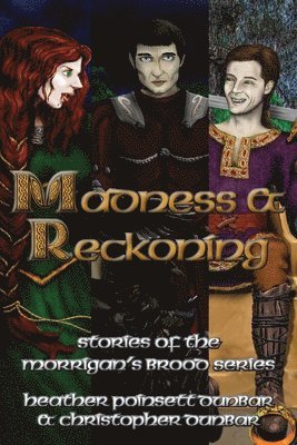 bokomslag Madness & Reckoning