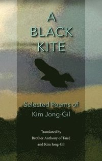 bokomslag Black Kite