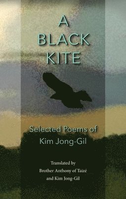 bokomslag Black Kite