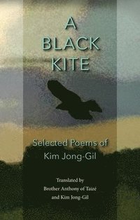 bokomslag A Black Kite