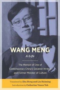 bokomslag Wang Meng