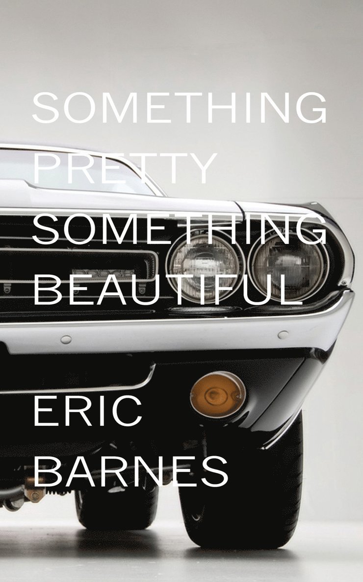 Eric Barnes - Something Pretty, Something Beautiful, Häftad
