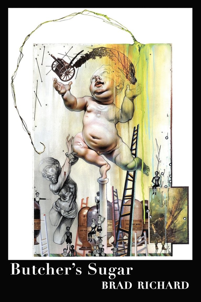 Brad Richard - Butcher's Sugar, Häftad
