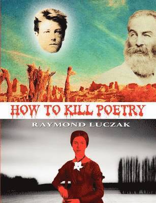 Raymond Luczak - How to Kill Poetry, Häftad