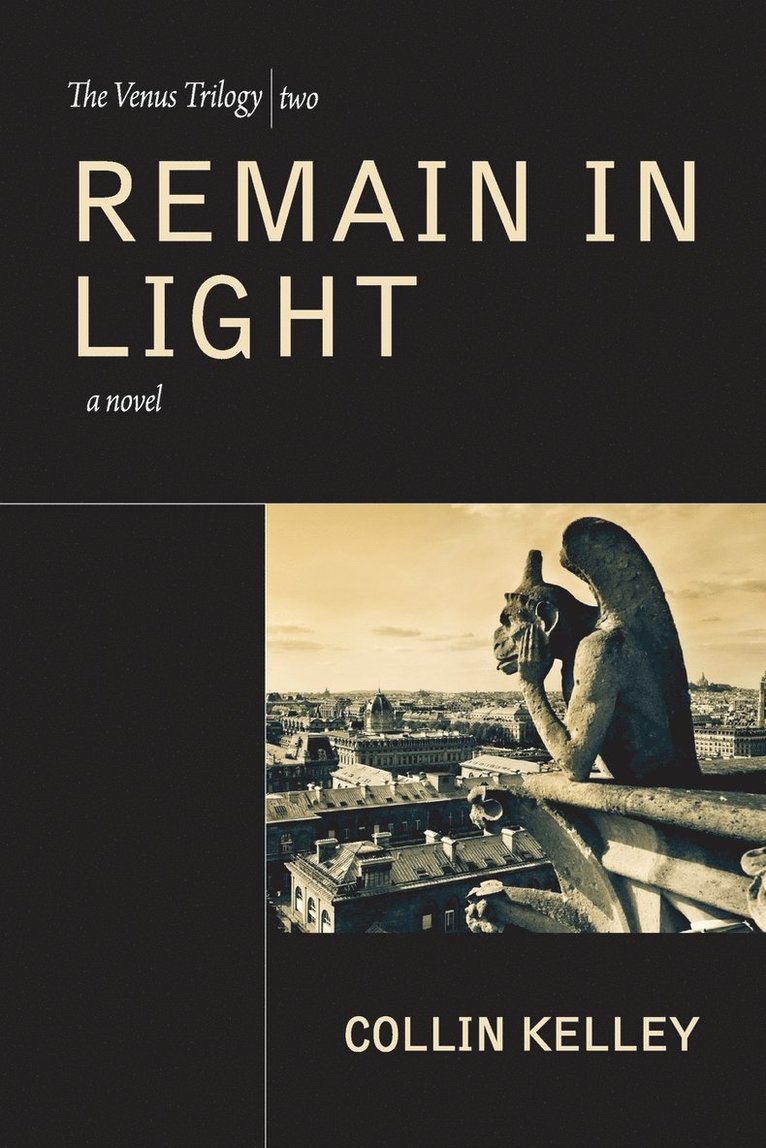 Collin Kelley - Remain in Light, Häftad
