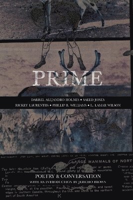 bokomslag Prime