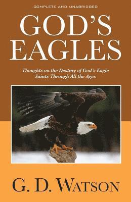 bokomslag God's Eagles