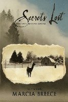 Secrets Lost: Secrets Remembered 1