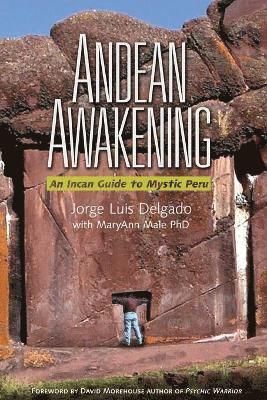 bokomslag Andean Awakening