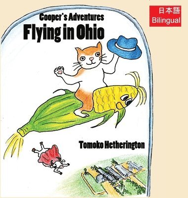 Flying in Ohio 1