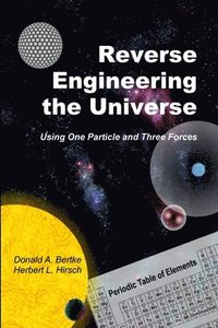 bokomslag Reverse Engineering the Universe