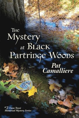 The Mystery at Black Partridge Woods 1