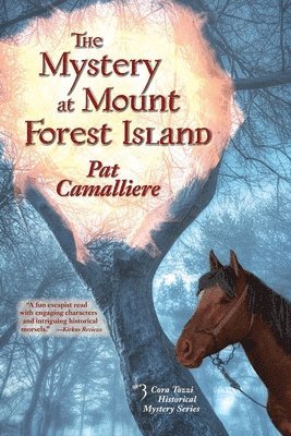 The Mystery at Mount Forest Island 1