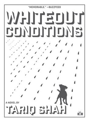 Whiteout Conditions 1