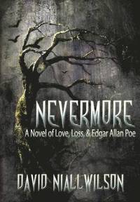 bokomslag Nevermore