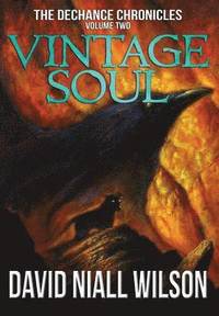 bokomslag Vintage Soul