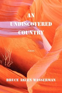 bokomslag An Undiscovered Country