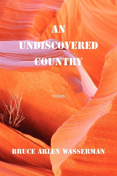 bokomslag An Undiscovered Country