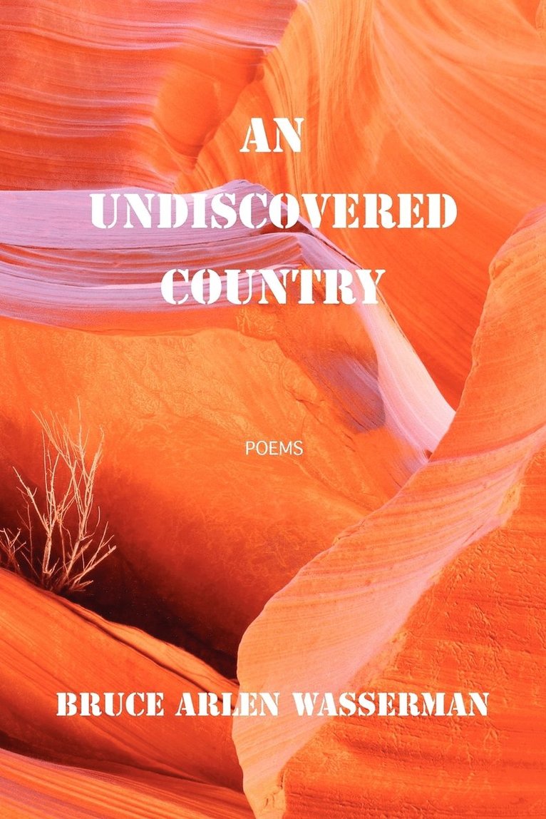 An Undiscovered Country 1