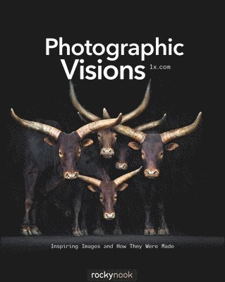 Photographic Visions: Inspiring Images and How They Were Made 1