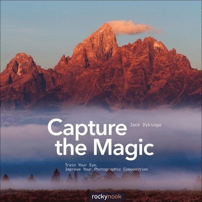Capture the Magic: Train Your Eye, Improve Your Photographic Composition 1
