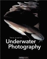 bokomslag Underwater Photography