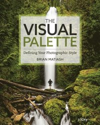 bokomslag The Visual Palette: Defining Your Photographic Style