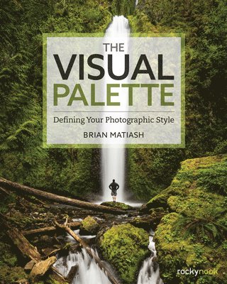 bokomslag The Visual Palette: Defining Your Photographic Style