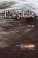 bokomslag Boiling Lake (On Voyage): very short stories (COLOR EDITION)