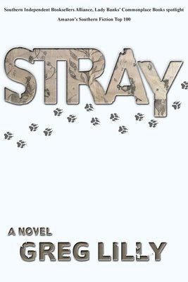 Stray 1