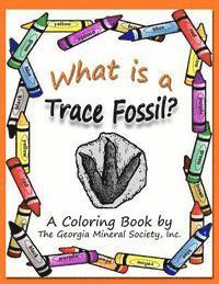 bokomslag What Is a Trace Fossil?: A Coloring Book by the Georgia Mineral Society, Inc.
