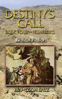 bokomslag Destiny's Call: Book Four - Numbers: Biblical Fiction