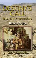 Destiny's Call: Book Four - Numbers: Biblical Fiction 1