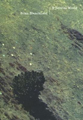 Brian Blanchfield - Several World, Häftad