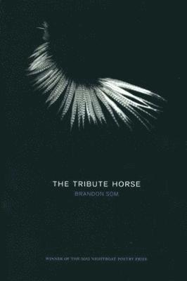 The Tribute Horse 1