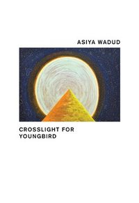 bokomslag Crosslight for Youngbird