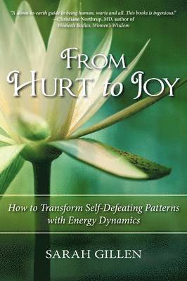 From Hurt to Joy 1