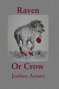Joshua Amses - Raven or Crow, Häftad