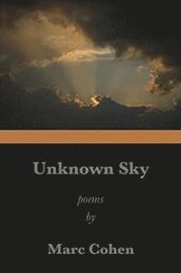bokomslag Unknown Sky