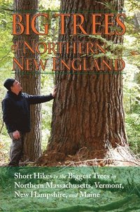 bokomslag Big Trees of Northern New England