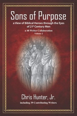 bokomslag Sons of Purpose, a View of Biblical Heroes through the Eyes of 21st Century Men