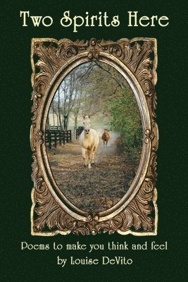 Louise DeVito - Two Spirits Here, Häftad