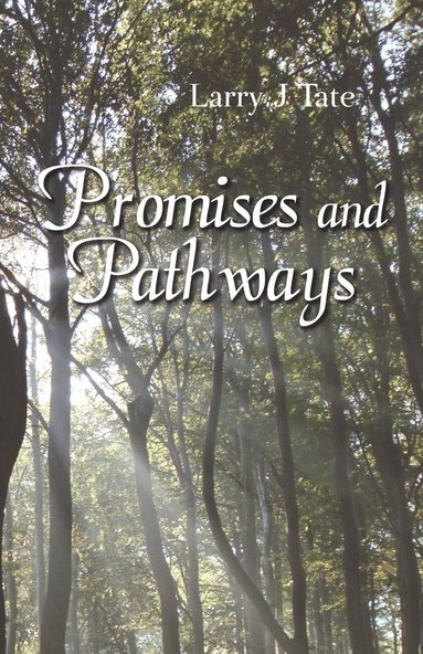 bokomslag Promises and Pathways - Finding Your Way to God's Promised Gifts