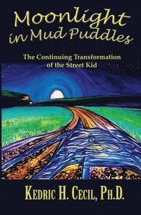bokomslag Moonlight in Mud Puddles: The Continuing Transformation of the Street Kid