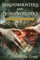 bokomslag Shadowhunters and Downworlders