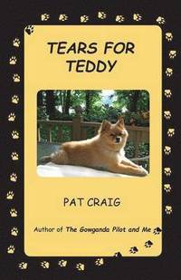 bokomslag Tears for Teddy