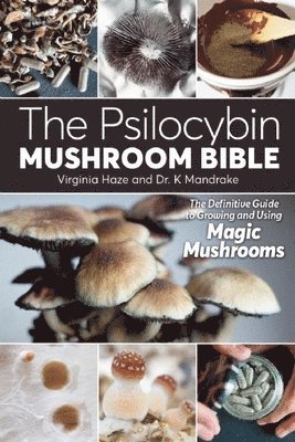 The Psilocybin Mushroom Bible 1