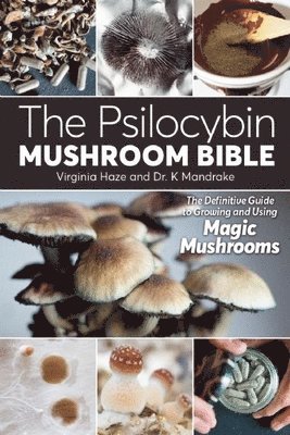 K. Mandrake, Virginia Haze - The Psilocybin Mushroom Bible, Häftad
