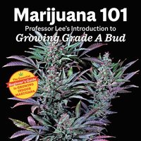 bokomslag Marijuana 101